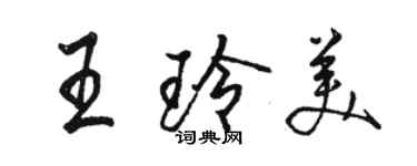 駱恆光王玲美行書個性簽名怎么寫