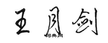 駱恆光王月劍行書個性簽名怎么寫