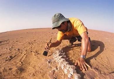 考古新發現!美洲大陸發現新種恐龍