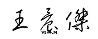 梁錦英王晨傑草書個性簽名怎么寫