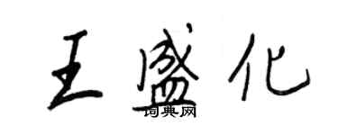 王正良王盛化行書個性簽名怎么寫