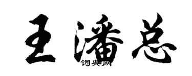 胡問遂王潘總行書個性簽名怎么寫