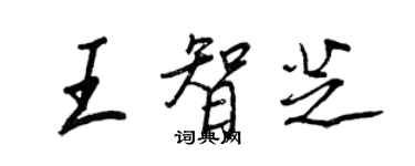 王正良王智芝行書個性簽名怎么寫