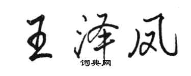 駱恆光王澤鳳行書個性簽名怎么寫