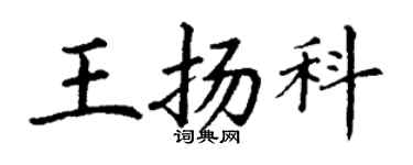 丁謙王揚科楷書個性簽名怎么寫