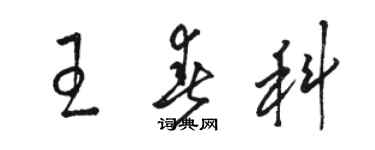 駱恆光王春科草書個性簽名怎么寫