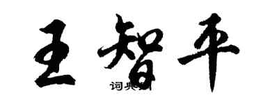 胡問遂王智平行書個性簽名怎么寫