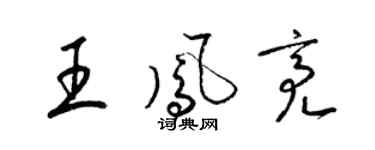 梁錦英王鳳亮草書個性簽名怎么寫