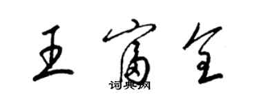 梁錦英王富全草書個性簽名怎么寫