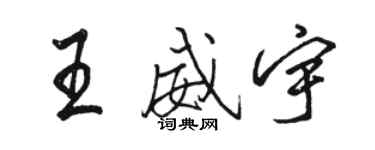 駱恆光王威宇行書個性簽名怎么寫
