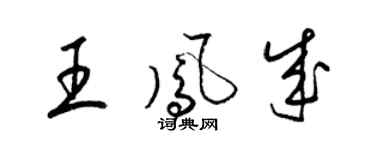 梁錦英王鳳成草書個性簽名怎么寫