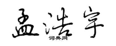 曾慶福孟浩宇行書個性簽名怎么寫