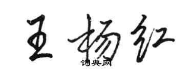 駱恆光王楊紅行書個性簽名怎么寫