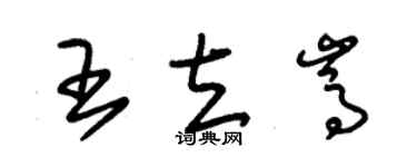 朱錫榮王立嵩草書個性簽名怎么寫