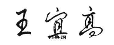 駱恆光王宜高行書個性簽名怎么寫