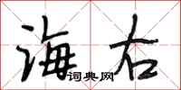 段相林海右行書怎么寫