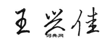 駱恆光王興佳行書個性簽名怎么寫