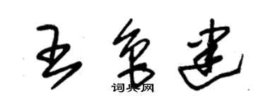 朱錫榮王魯建草書個性簽名怎么寫