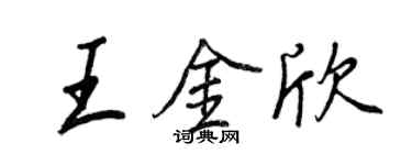 王正良王金欣行書個性簽名怎么寫