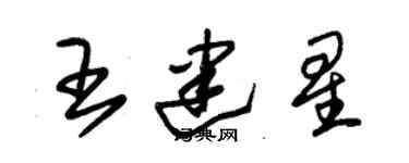朱錫榮王建星草書個性簽名怎么寫
