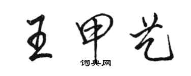 駱恆光王甲藝行書個性簽名怎么寫