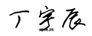 朱錫榮丁宇辰草書個性簽名怎么寫