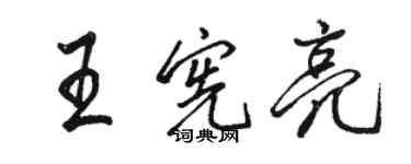 駱恆光王憲亮行書個性簽名怎么寫