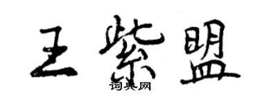 曾慶福王紫盟行書個性簽名怎么寫