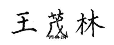 何伯昌王茂林楷書個性簽名怎么寫