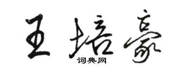 駱恆光王培豪行書個性簽名怎么寫