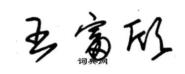 朱錫榮王富欣草書個性簽名怎么寫