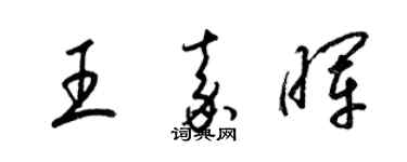 梁錦英王嘉暉草書個性簽名怎么寫