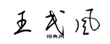 梁錦英王民風草書個性簽名怎么寫