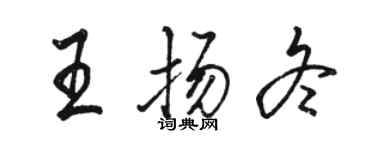 駱恆光王揚冬行書個性簽名怎么寫