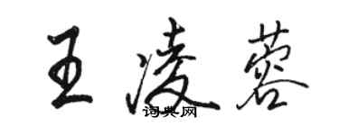 駱恆光王凌蓉行書個性簽名怎么寫