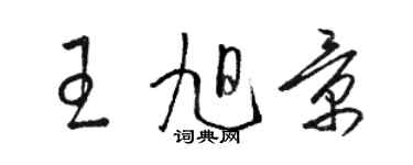 駱恆光王旭景草書個性簽名怎么寫