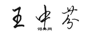 駱恆光王中芬行書個性簽名怎么寫