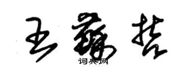 朱錫榮王蘇哲草書個性簽名怎么寫