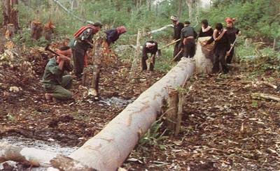 1970年4月22日美國2000萬人遊行呼籲拯救地球_歷史上的今天