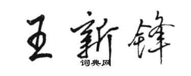駱恆光王新鋒行書個性簽名怎么寫