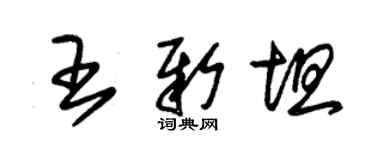 朱錫榮王新坦草書個性簽名怎么寫