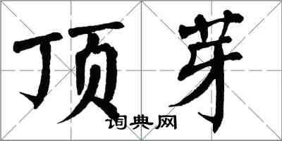 翁闓運頂芽楷書怎么寫