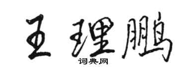 駱恆光王理鵬行書個性簽名怎么寫