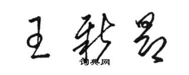 駱恆光王新昂草書個性簽名怎么寫