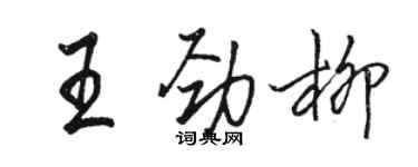 駱恆光王勁柳行書個性簽名怎么寫