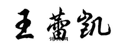 胡問遂王蕾凱行書個性簽名怎么寫