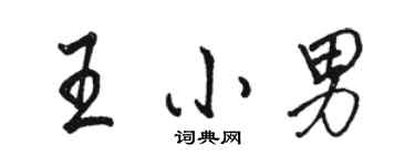 駱恆光王小男行書個性簽名怎么寫