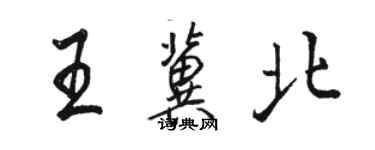 駱恆光王冀北行書個性簽名怎么寫