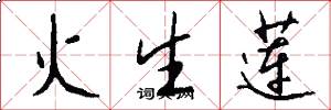 火生蓮怎么寫好看
