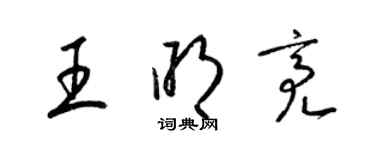 梁錦英王明亮草書個性簽名怎么寫